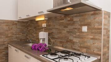 Coffee/tea maker, fridge, microwave, oven
