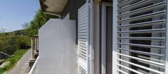 Apartments Felix Mljet - One Bedroom Apartment with Balcony (Marijana)