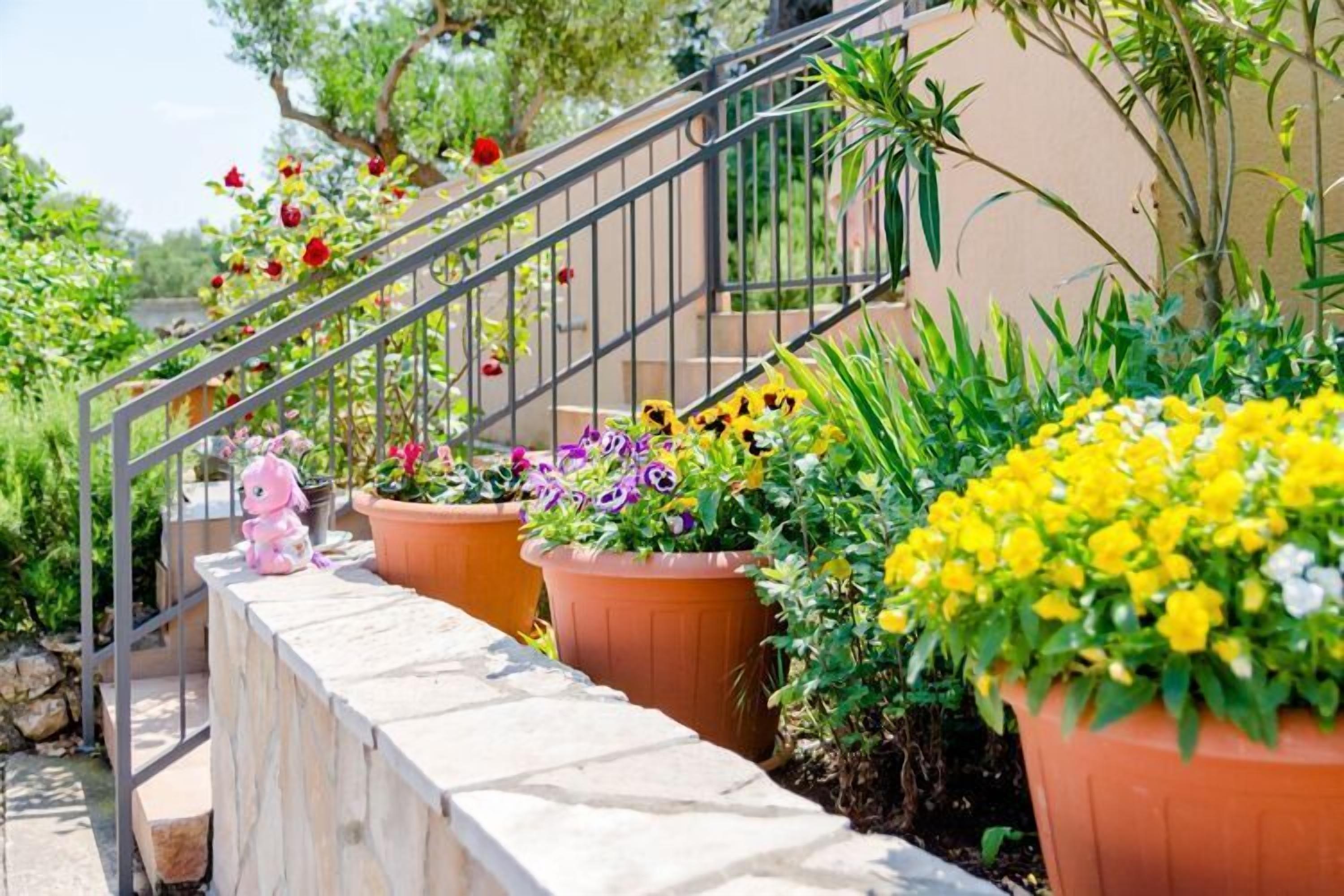 Overnattingsstedets uteområder