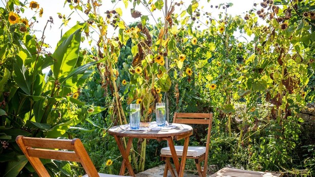 A wooden table and chairs set outdoors with a garden backdrop. - Stone House Harmony - One Bedroom Apartment with Patio and Garden View ( 1 ) (Zrnovo)