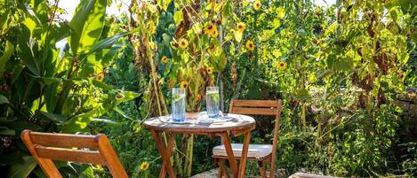 Opções para refeição ao ar livre