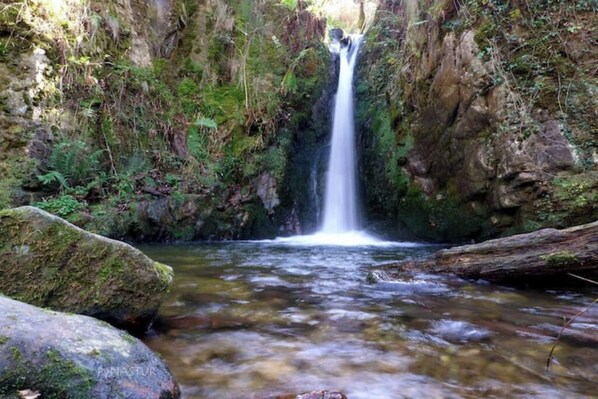 Ein Wasserfall in einer felsigen Schlucht mit moosbewachsenen Steinen und einem klaren Bach am Fuße.