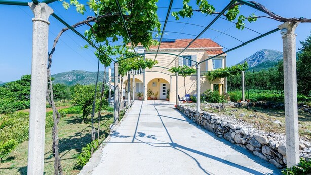 A pathway leading to a house with a stone wall and a pergola with vines.