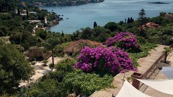 A coastal view with a wooden deck, a stone building, and purple bougainvillea bushes.