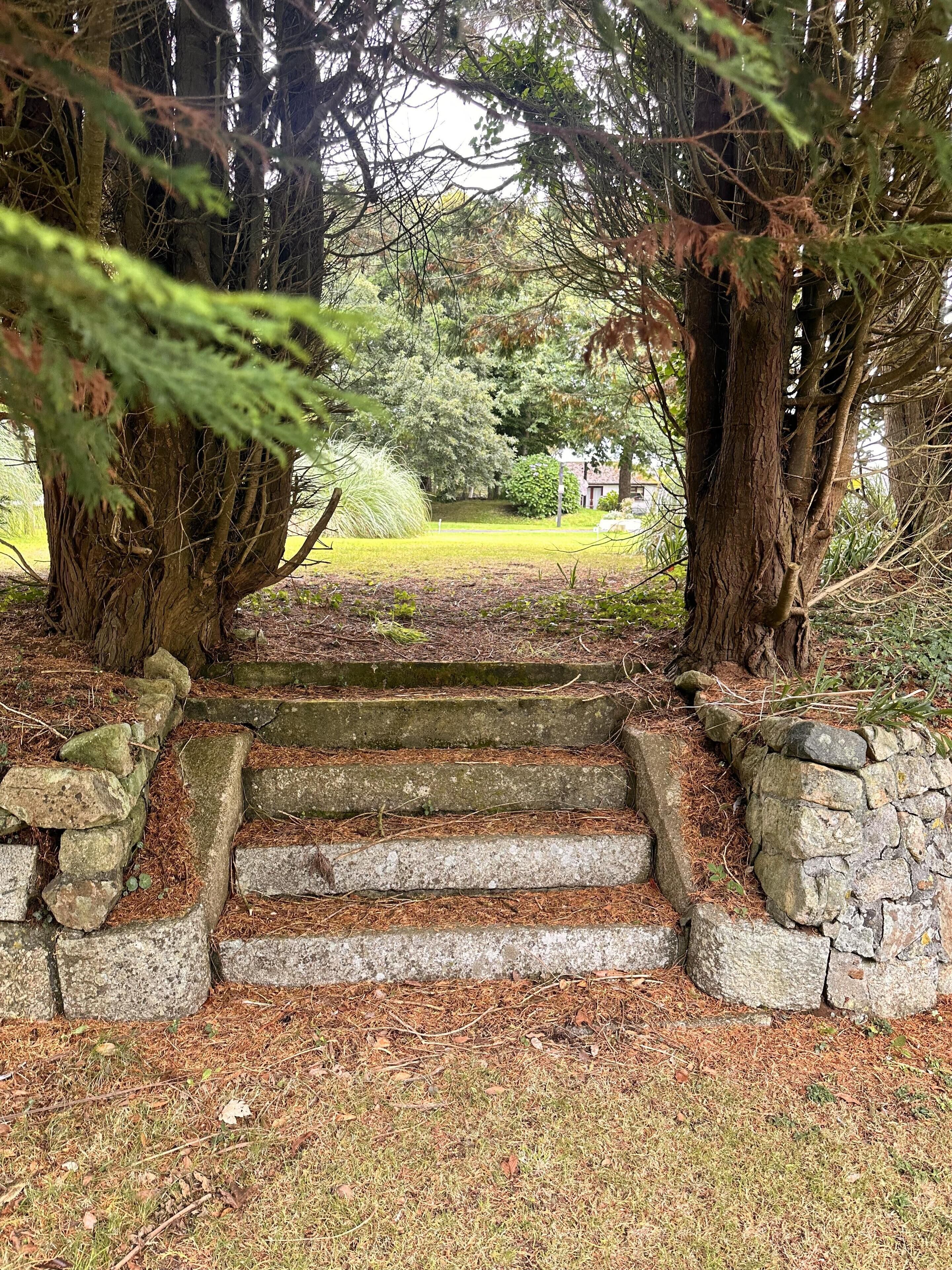 캐빈 | 숙박 시설 구내