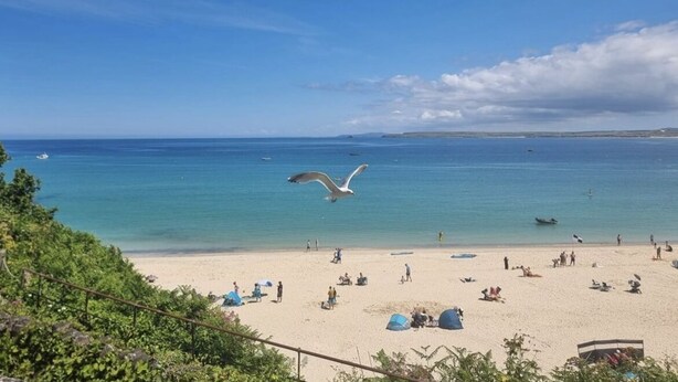 Una playa con cielos despejados, una gaviota volando y gente relajándose en la arena.