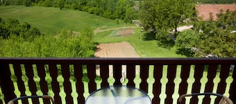 Guesthouse Žafran- Double Room With Terrace