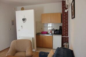 Cozy living space with a kitchenette, featuring a comfortable sofa and armchair.