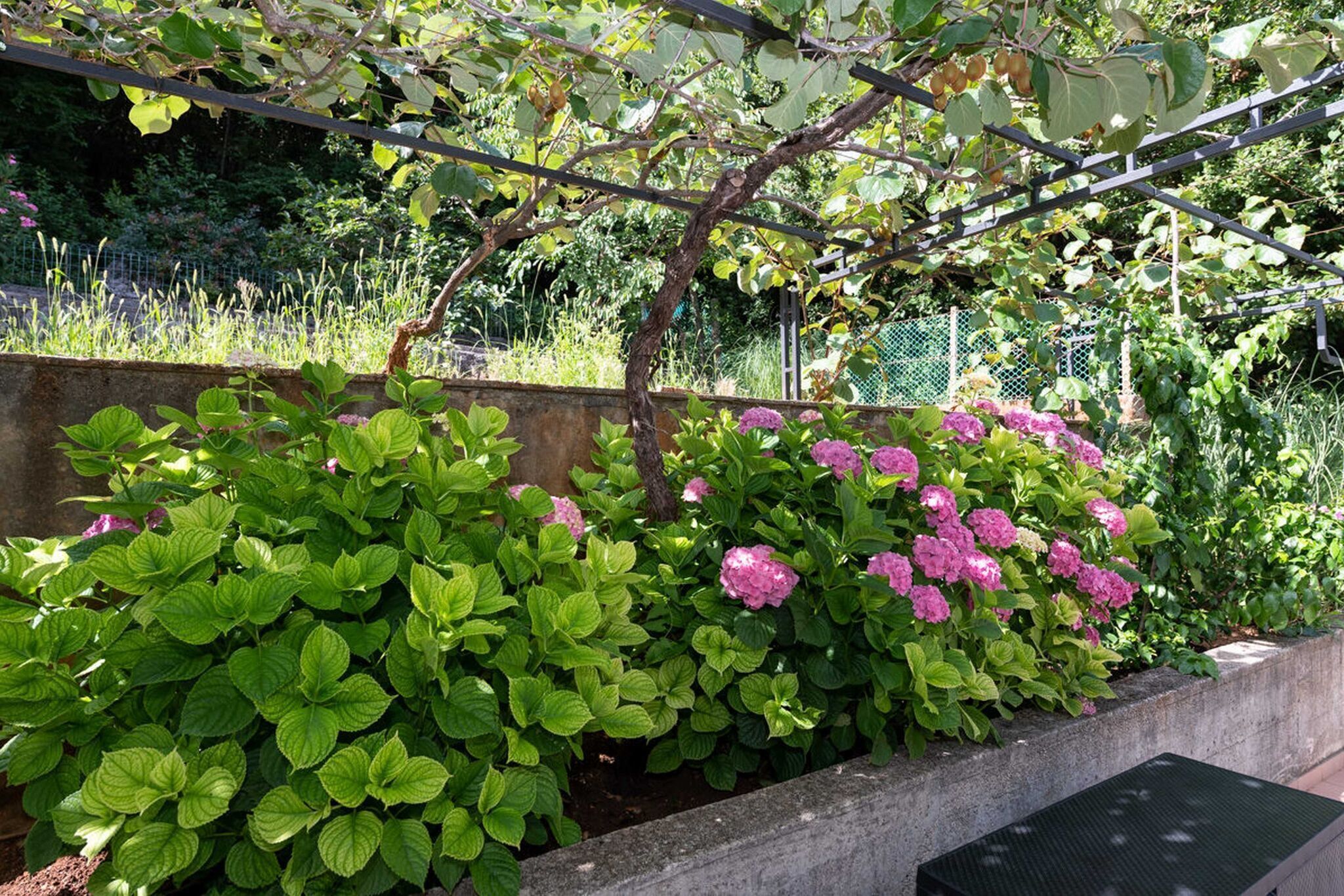 Terrein van de accommodatie