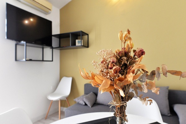 Smart TV