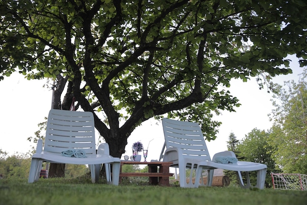 Jardines del alojamiento