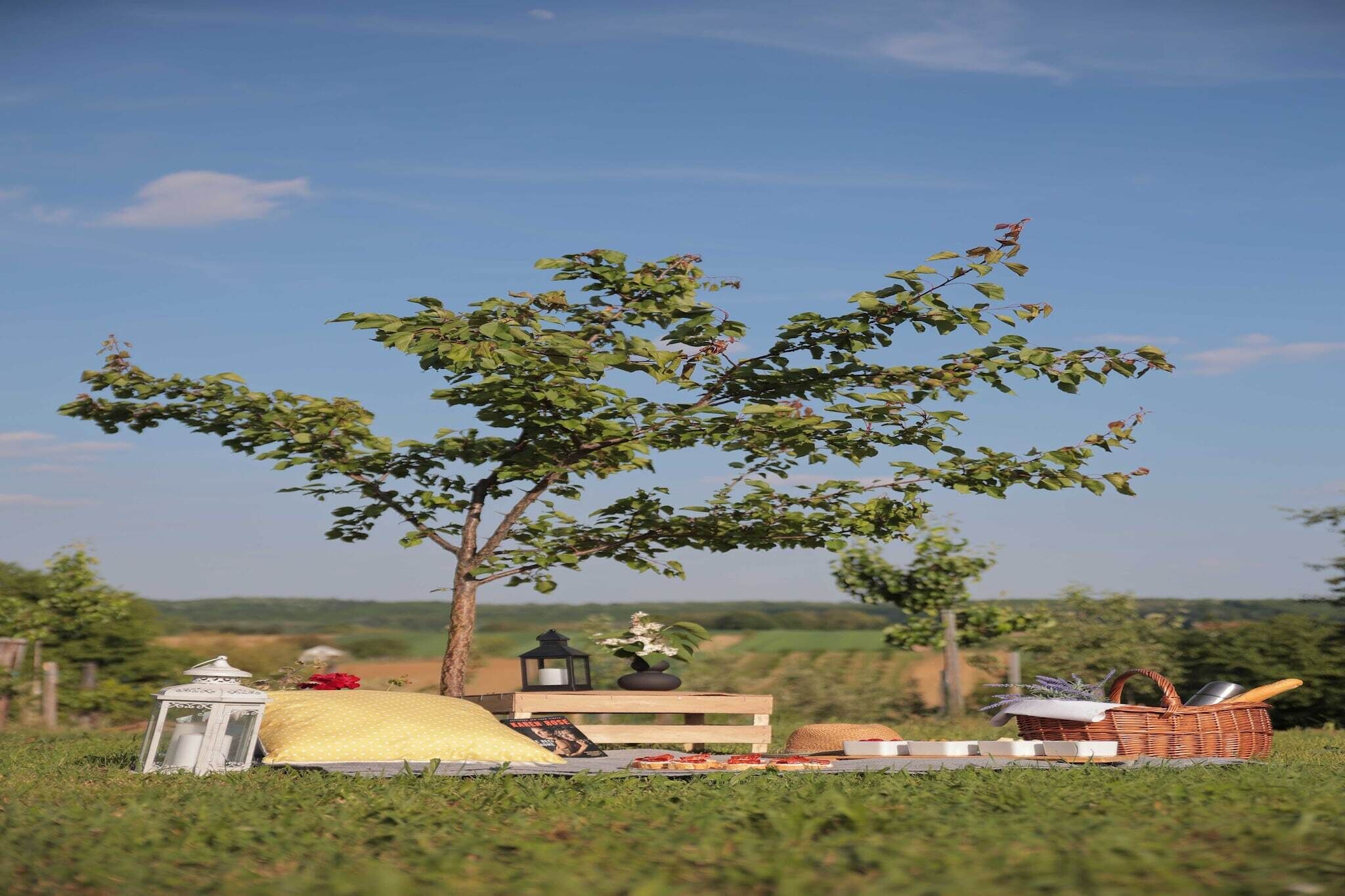 Área da propriedade