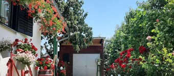 Leilighet Amigo - Leilighet med 2 soverom og terrasse