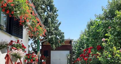 Apartment Amigo - Two Bedroom Apartment with Terrace and swimming pool