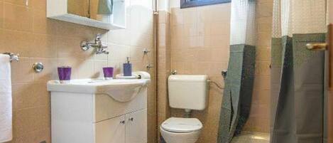 A bathroom with a toilet, sink, and shower area.