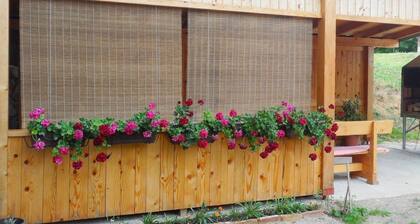 Apartments & Rooms Rendulić - Two bedroom Suite with shared Terrace