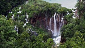 Une cascade entourée d’une végétation luxuriante.