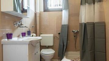 Shower, hair dryer