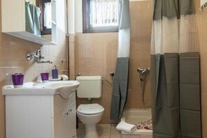 Shower, hair dryer