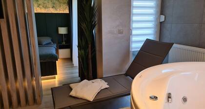 Wellness Apartments - Studio Apartment with Terrace (G3)