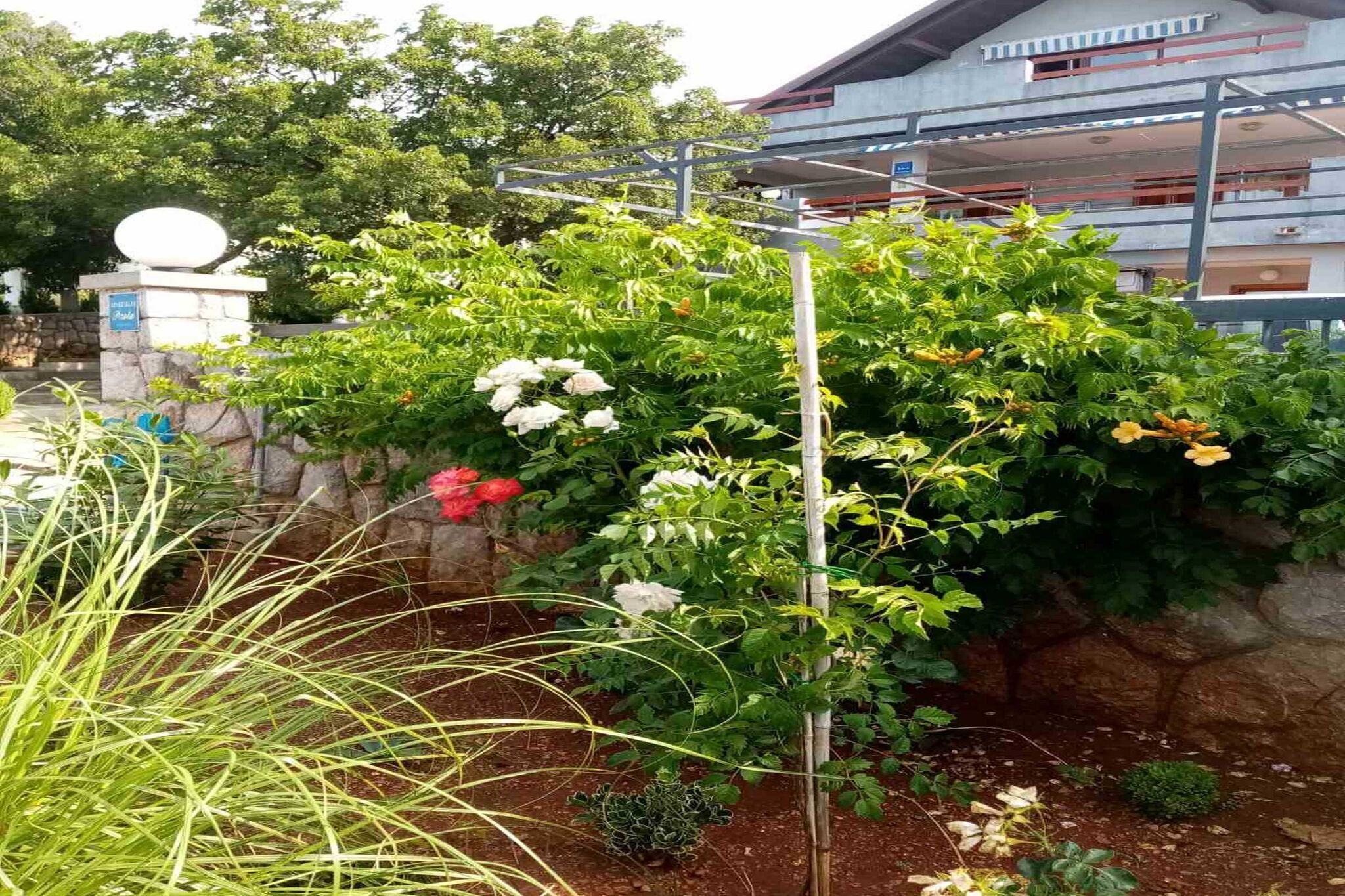 Ein Gartenbereich mit verschiedenen Pflanzen und Blumen, eine Steinmauer und ein Gebäude im Hintergrund.
