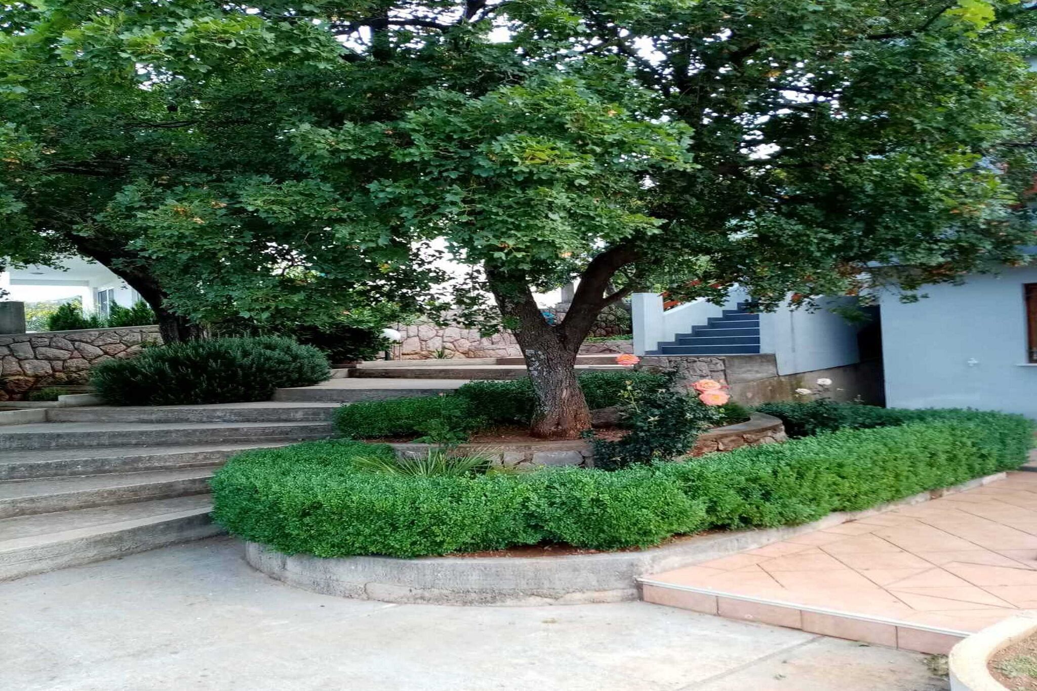 Jardin [été]