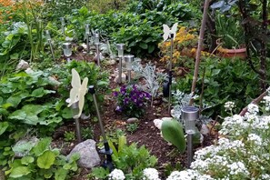 Ein Garten mit verschiedenen Pflanzen und dekorativer Beleuchtung.