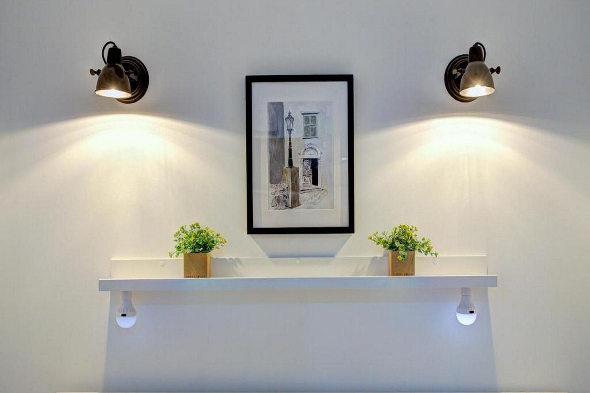 A framed picture on a wall, flanked by two wall-mounted lights. Below, a white shelf holds two potted plants.