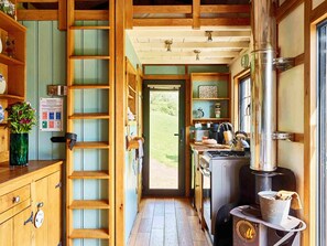 Fridge, oven, stovetop, toaster