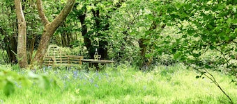 Ash Tree Cottage with Hot Tub