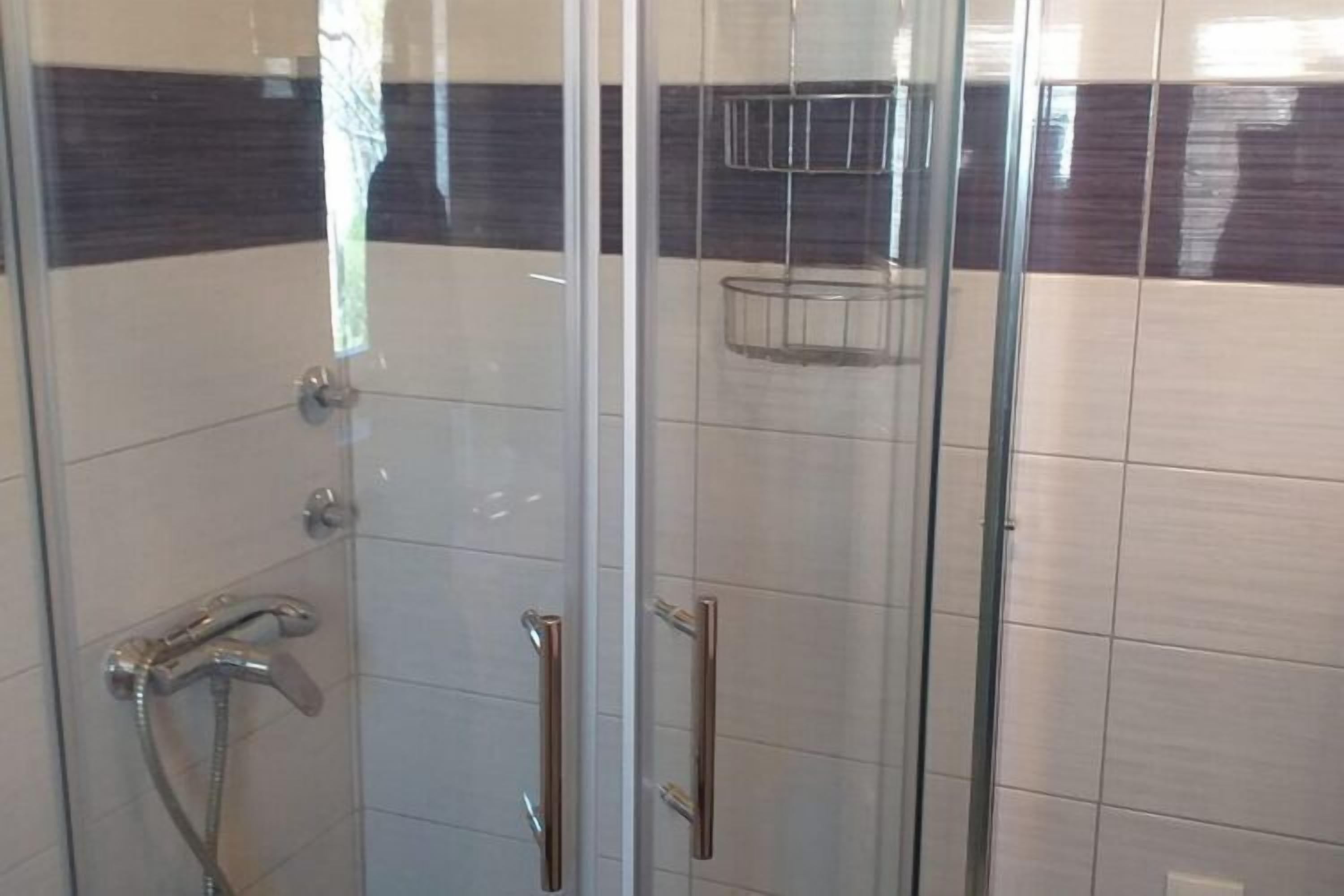 Shower, hair dryer