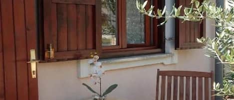 A wooden door with a window, a small table with a plant, and a wooden chair.