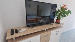 Een flatscreen televisie op een houten tv-meubel, met een potplant ernaast.