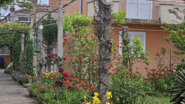A garden with flowering plants and a building with a balcony. - Apartments Amalia - Two Bedroom Apartment with Terrace (Zadar)