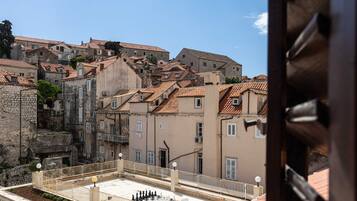 Vista desde la propiedad