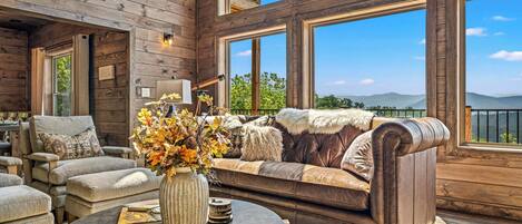 Smart TV, fireplace, DVD player, video library