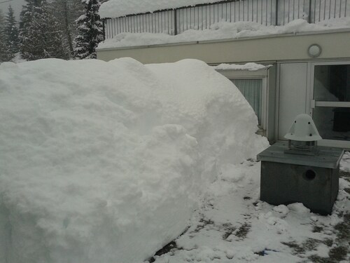 Sunny apartment in Trentino