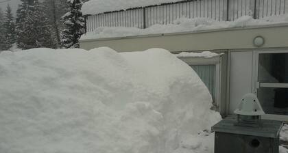 Sunny apartment in Trentino