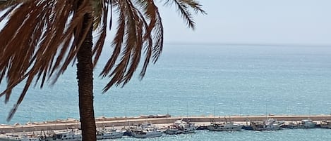 مارينا