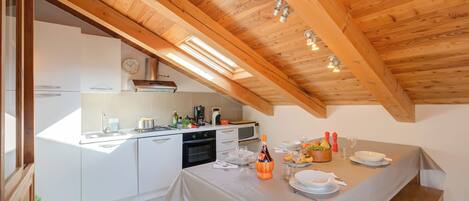 Family Apartment, Multiple Bedrooms, 2 Bathrooms (Sunny Penthouse) | Private kitchen | Fridge, microwave, oven, stovetop