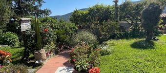 Apartment in historic township