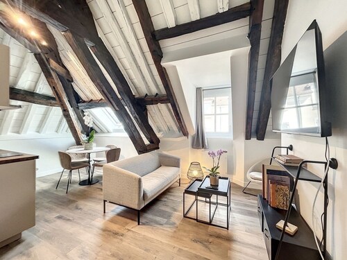 Le Laurencin Sens - Cœur de ville, au calme - Le Comble (2 chambres)