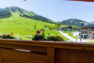 Vistas desde la habitación