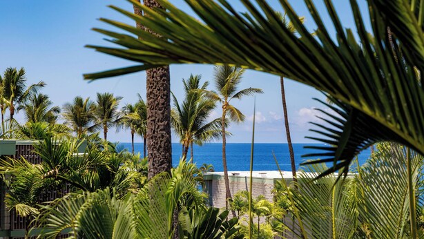 A view of a beach with palm trees and a clear blue sky.