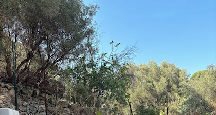 Villa provençale à Toulon - Private swimming pool and large garden