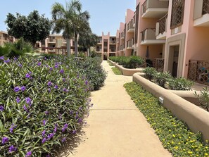 A pathway lined with purple flowers and yellow flowers, leading to a building with balconies.