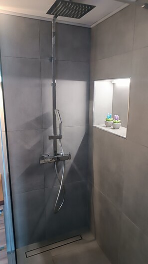 Regadera, secadora de cabello, bidet, toallas