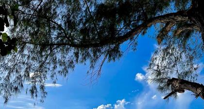 The Sandcastle Apartment