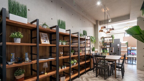 Ein modernes Interieur mit Holzböden, Blumentöpfen und einer Essecke mit Stühlen und Tisch.