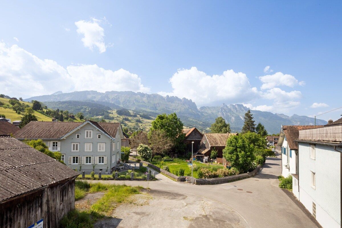 A rural village with traditional buildings, a paved street, and mountains in the background.